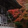 成相寺散歩　本堂の紅葉