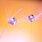 レインボーｄｒｏｐs