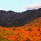 30613A65-D9F1-4F76-AE86-2DFF56E60068