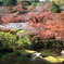 お寺の紅葉１