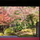 お寺の紅葉３