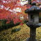 常寂光寺　もみじ灯籠
