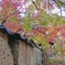古土塀と紅葉