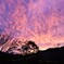 夕焼け雲