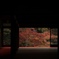 京都の紅葉定番スポット