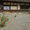 庄屋土居家_010