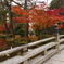 兼六園　紅葉