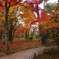兼六園　紅葉