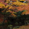 兼六園　紅葉