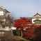 兼六園　紅葉