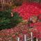 兼六園　紅葉