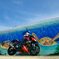 バイクとウミガメ