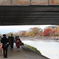 秋の鴨川　橋の下