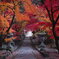錦秋の参道