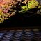DSCF6463