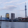 とある隅田川の風景
