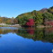 今日の薬師池公園