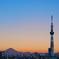 Sunset in TOKYO 〜 また会いましょう♪