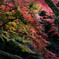 渓谷の晩秋･･紅葉景色