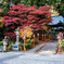 秋燃える寺院