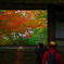 絵画鑑賞　IMGP0552zz