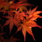 26399EF1-BB10-4BA2-8CDF-D827407374F4