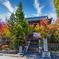 紅葉寺