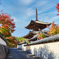 紅葉寺