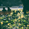 an autumn day #07