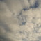 雲