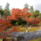 京都の紅葉５