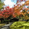 京都の紅葉４