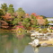 京都の紅葉２