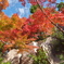 けいはんな公園２