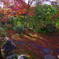 2021京の紅葉（妙心寺大法院3）