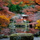 醍醐寺紅葉３