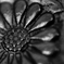 micro world