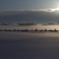 霧の風景 1