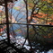 晩秋の京散歩Ⅲ　祐斎亭４