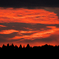 wildfire