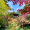 色づく山寺