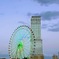 冬のりんくう　その５