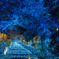 DSC_2516-HDR