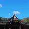 弥彦神社社殿秋景