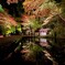 石山寺「あたら夜もみじ」閼伽池のさかさもみじ