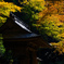 百済寺　〜湖東三山〜