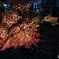 紅葉映え