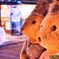 クマさん