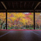 圓光寺