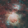 M42_2021.11.29